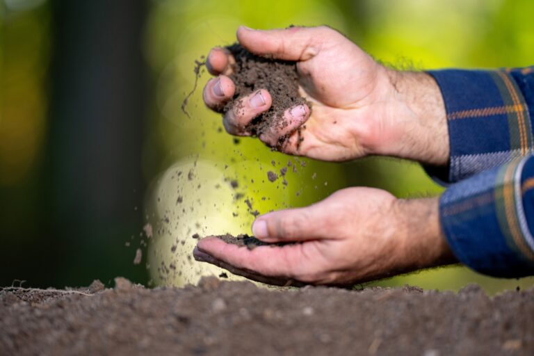 14 Simple Soil Tests You Can Do Before Planting Season