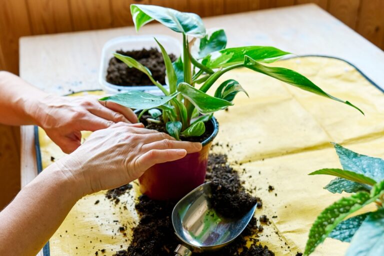 11 Tropical Plants You Can Start Indoors This Spring