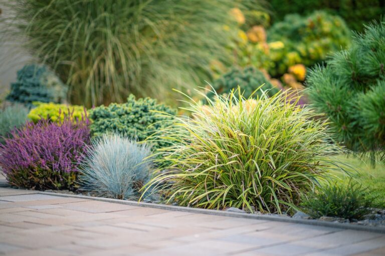 11 Ornamental Grasses for Adding Texture in Spring