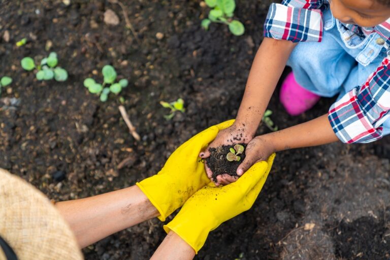 12 Cool-Season Vegetables You Can Still Plant Before Spring