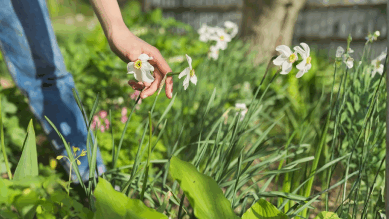 13 White Blooming Spring Plants That Make a Yard Look Fresh