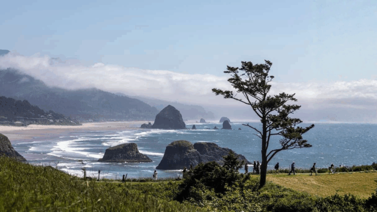 11 Coastal Spring Break Trips With Easy Walks and Picnic Spots